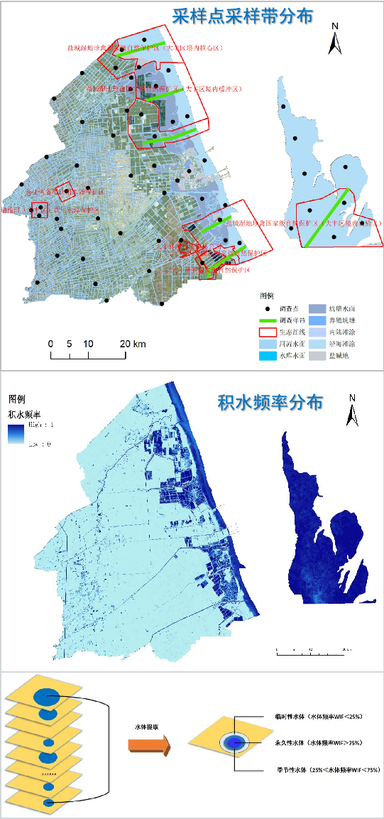滨海湿地综合调查